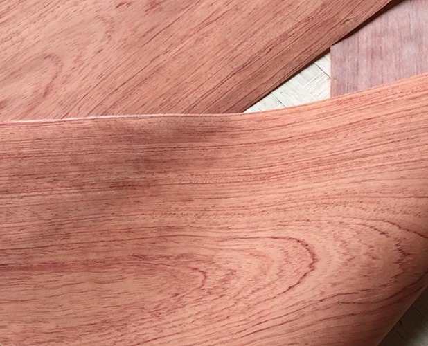 EV Veneer